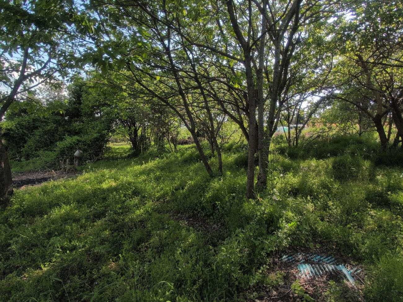 【代表メッセージ】「モデルハウス」と「家づくり」への想い